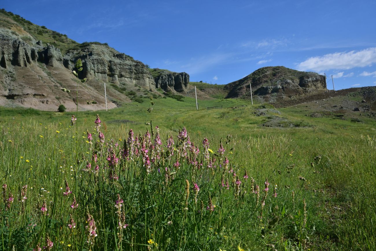 Урочище Тиреби, image of landscape/habitat.