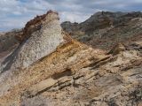 Мадыген, image of landscape/habitat.