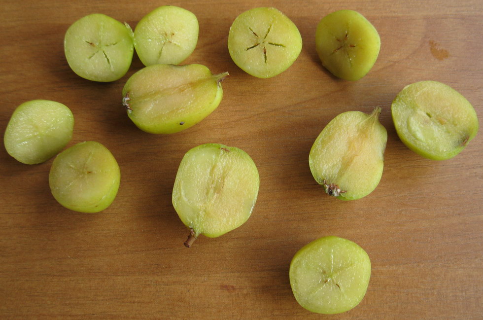 Изображение особи Sorbus domestica.