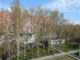 Betula pendula. Цветущие берёзы в городском озеленении. Московская обл., Щёлковский р-н, пос. Монино, у ж.-д. станции, в культуре. 30.04.2018.