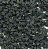 Allium cepa. Семена. Курская обл., Железногорский р-н, пос. Каменец, дачи Жуковец, в культуре. 25 июля 2010 г.