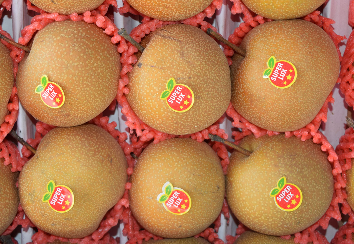 Изображение особи род Pyrus.