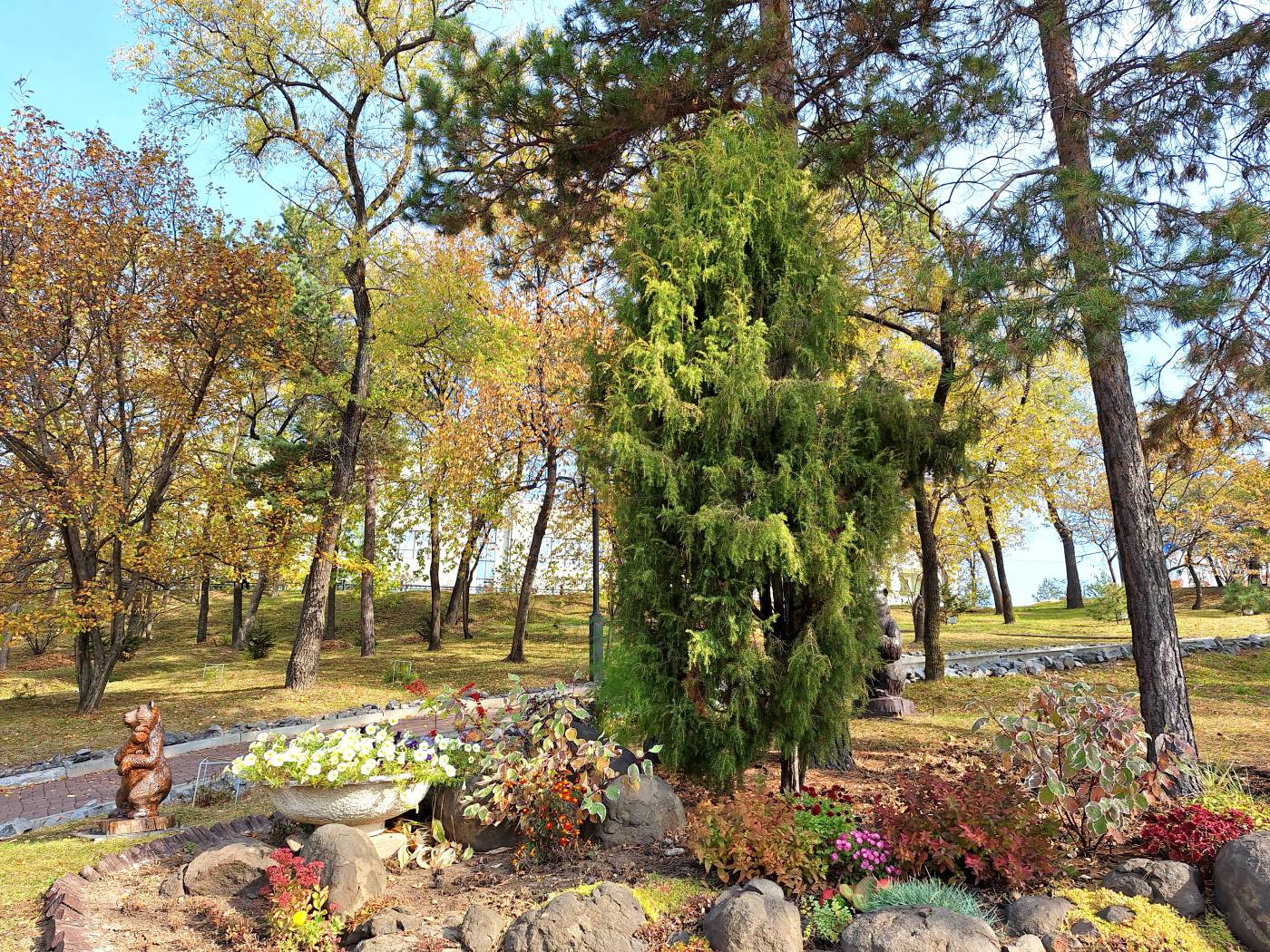 Image of Juniperus rigida specimen.