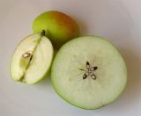 Malus domestica. Плоды в разрезе. Израиль, г. Беэр-Шева, продуктовый рынок. 11.06.2013.