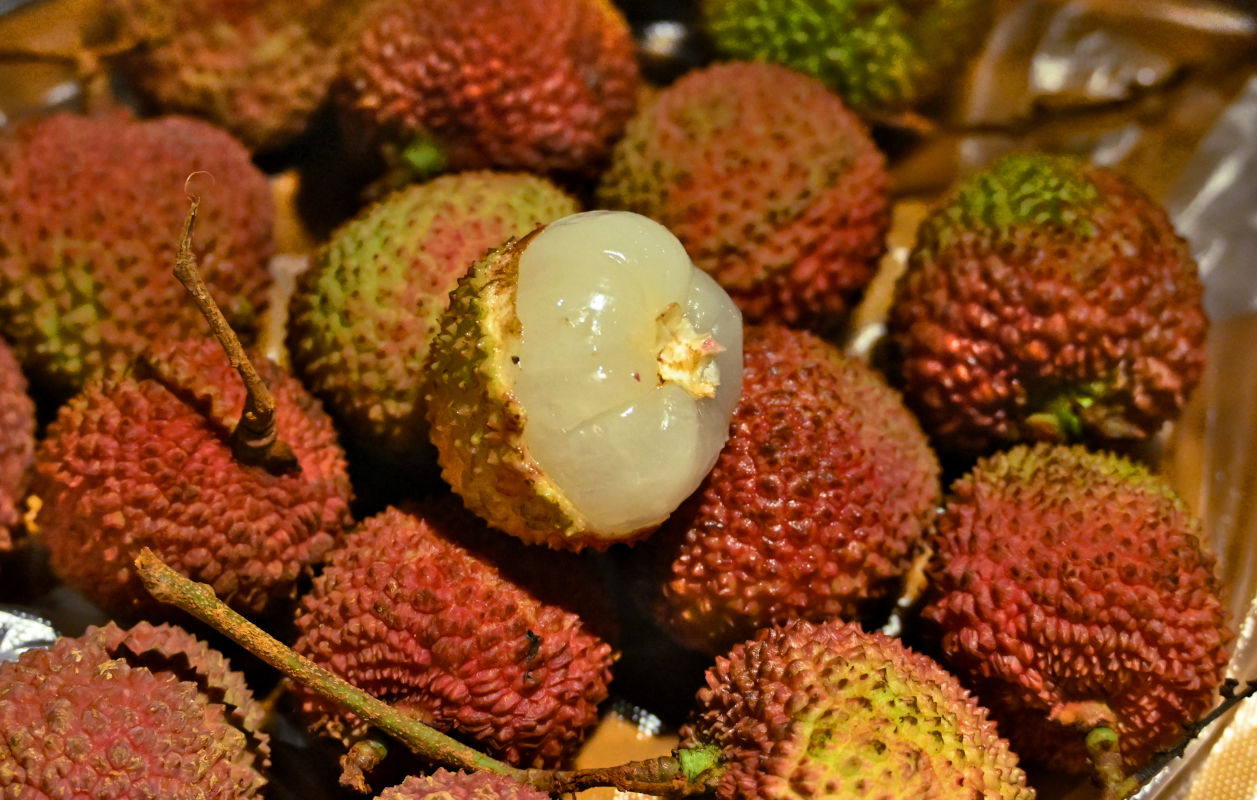 Изображение особи Litchi chinensis.
