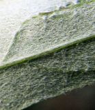 Artemisia integrifolia