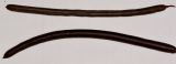 Cassia fistula