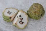 Annona squamosa