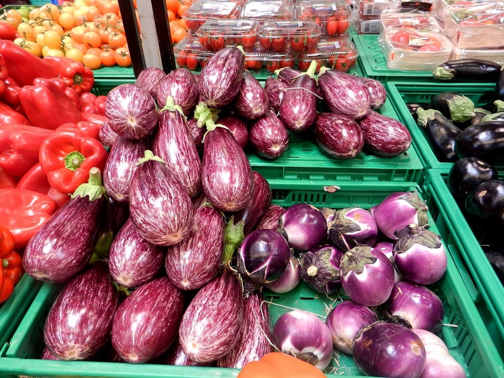 Image of Solanum melongena specimen.