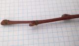 Tilia platyphyllos