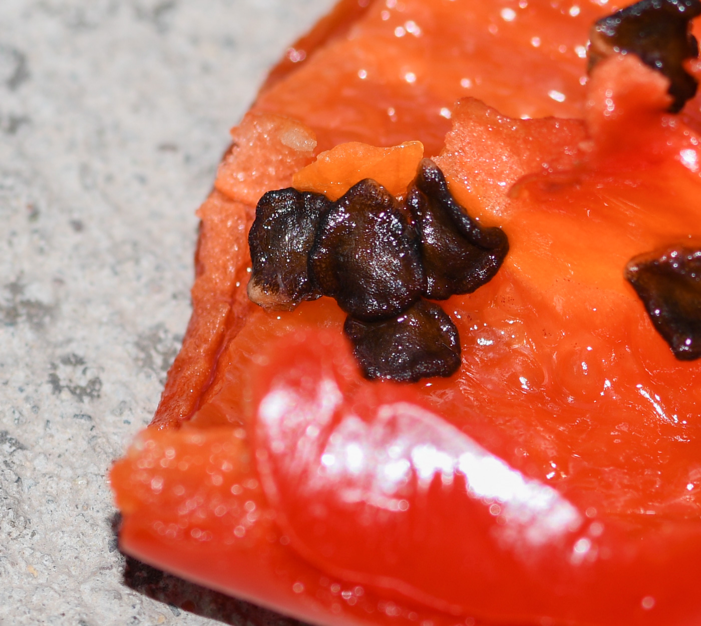 Image of Capsicum pubescens specimen.