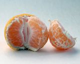 Citrus reticulata