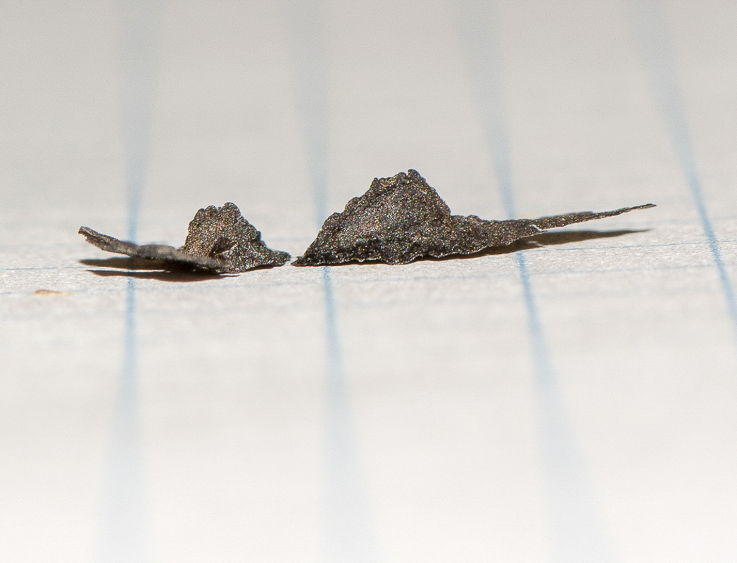 Image of Hakea scoparia specimen.