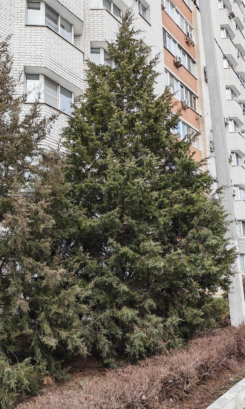 Image of Unknown species specimen.