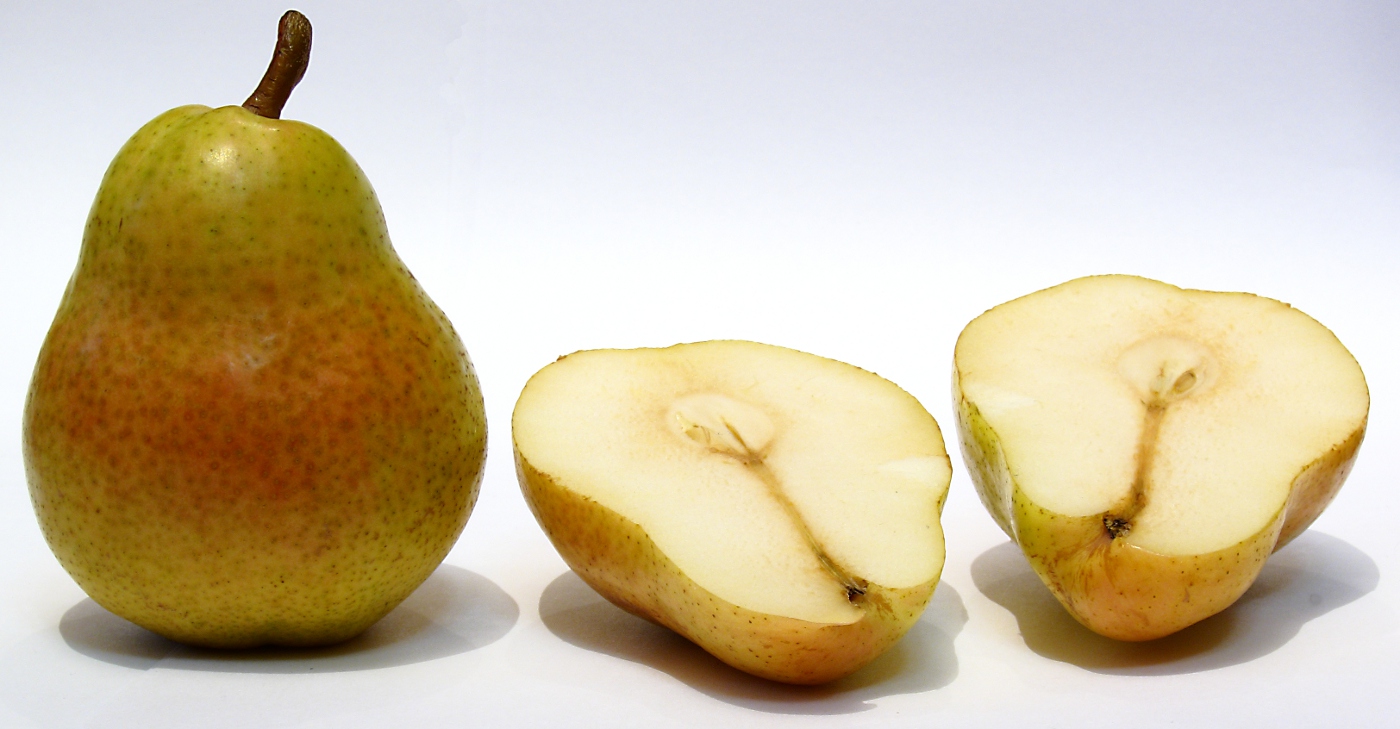 Image of Pyrus communis specimen.