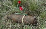 Tulipa suaveolens. Цветущие растения. Волгоградская обл., Советский р-н г. Волгограда, балка Западная 2,5 км С пос. Горный, полынно-злаковая степь со следами боев 1942-43 гг.