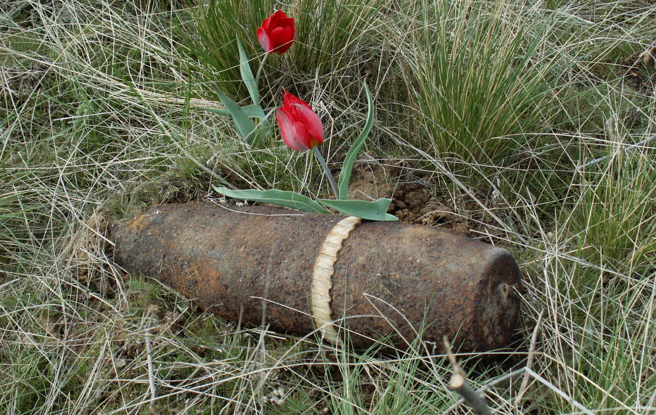 Image of Tulipa suaveolens specimen.