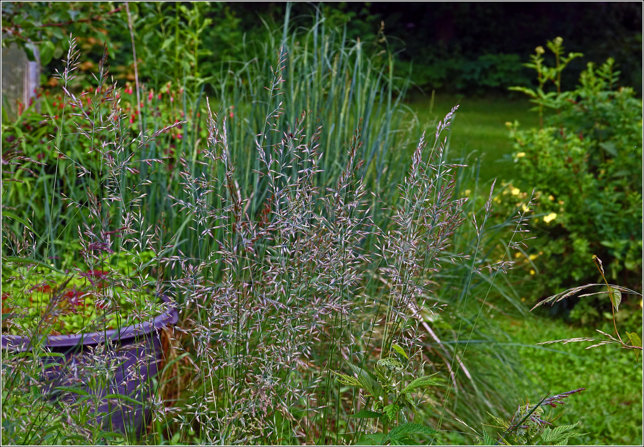 Image of Unknown species specimen.