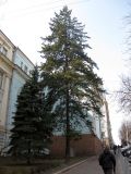Image of taxon representative. Author is Василий Гелюта