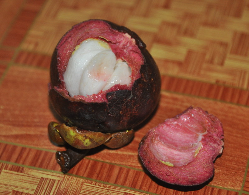 Изображение особи Garcinia mangostana.