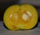 Image of specimen