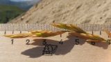 Brachypodium rupestre