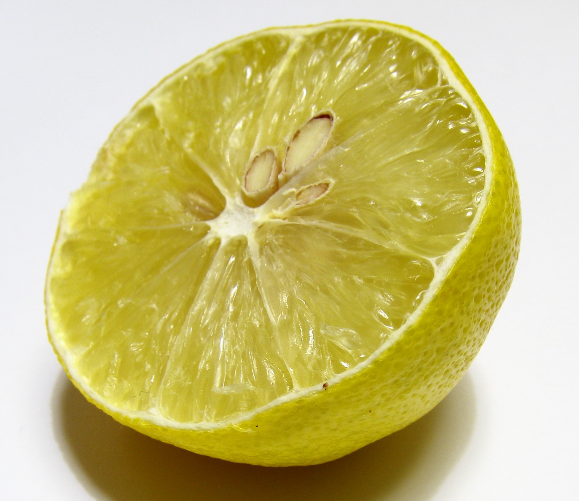 Image of Citrus limon specimen.