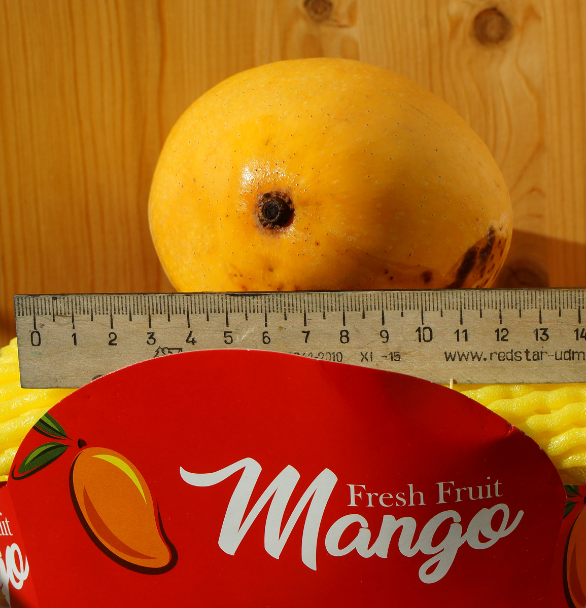 Изображение особи Mangifera indica .