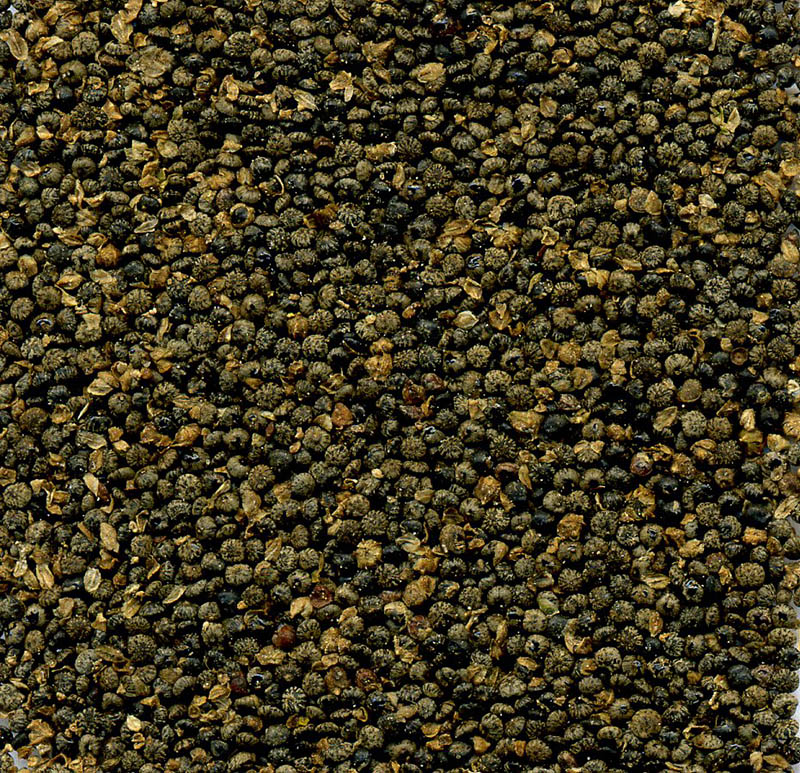 Image of Chenopodium album specimen.