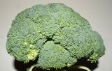 Brassica oleracea variety italica