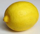 Citrus limon. Плод. Татарстан, г. Бавлы. 02.01.2012.