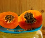 Carica papaya