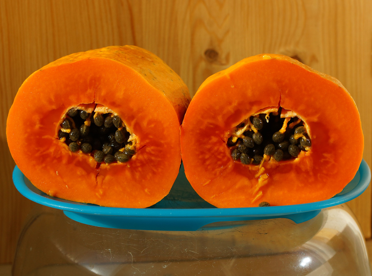 Изображение особи Carica papaya.