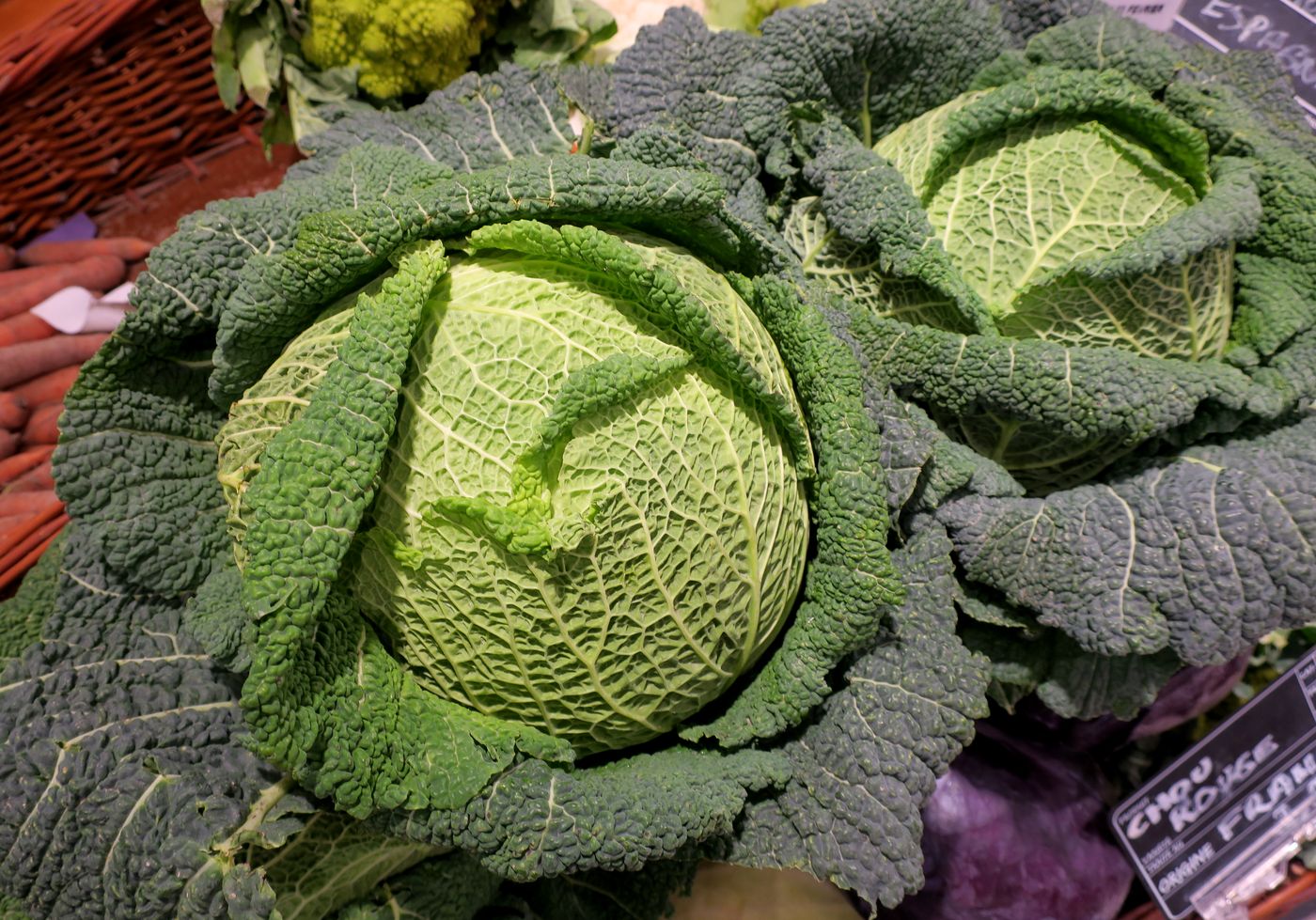 Изображение особи Brassica oleracea var. sabauda.