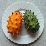 Cucumis metulifer