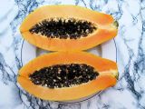 Carica papaya