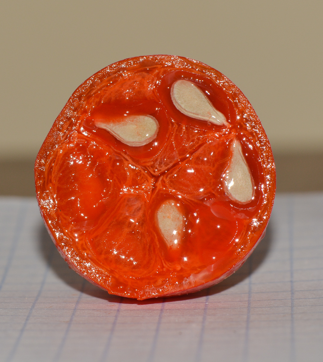 Изображение особи Coccinia grandis.