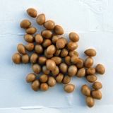 Iris germanica. Семена. Свердловская обл., окр. г. Североуральск, дачный участок. 11.08.2023.