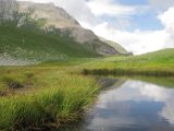 Carex transcaucasica. Заросли плодоносящих растений. Адыгея, Кавказский биосферный заповедник, Фишт-Оштенский массив, высокогорное плато на юго-восточном склоне горы, выс. ≈ 2200 м н.у.м., берег карстового озера. 13.08.2016.