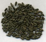 Arctium lappa. Семянки. Курская обл., г. Железногорск, пустырь. 26 октября 2009 г.