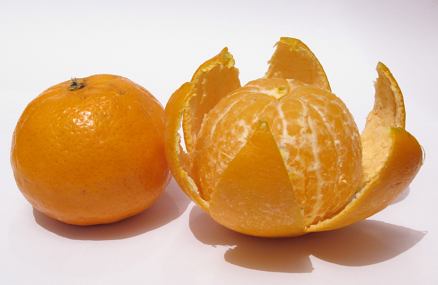 Image of Citrus reticulata specimen.