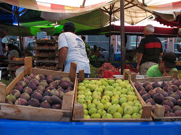 Image of Ficus carica specimen.