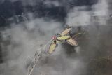 Persicaria amphibia. Цветущее растение. Республика Алтай, Кош-Агачский р-н, плоскогорье Укок, окр. р. Музды-Булак, край небольшого озера. 4 августа 2020 г.