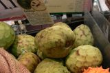 Annona cherimola