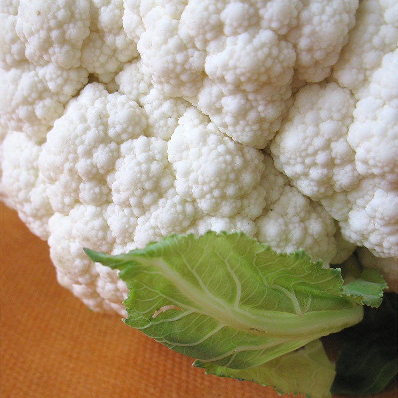 Image of Brassica oleracea var. botrytis specimen.