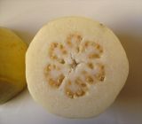 Psidium guajava. Плод в разрезе. Израиль, г. Беэр-Шева, в культуре. 08.02.2014.