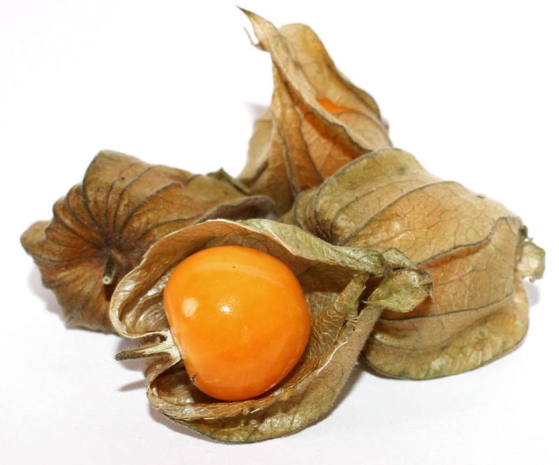 Изображение особи Physalis peruviana.