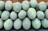 Melo sativus. Собранные для продажи зрелые плоды (сорт 'Ko'kcha'). Узбекистан, Сырдарьинская обл., Акалтынский р-н, придорожная торговля, рынок дынь. 11.08.2026.