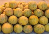 Melo sativus. Собранные для продажи зрелые плоды (разновидность сорта 'Оби наввот'). Узбекистан, Сырдарьинская обл., Акалтынский р-н, придорожная торговля, рынок дынь. 11.08.2026.