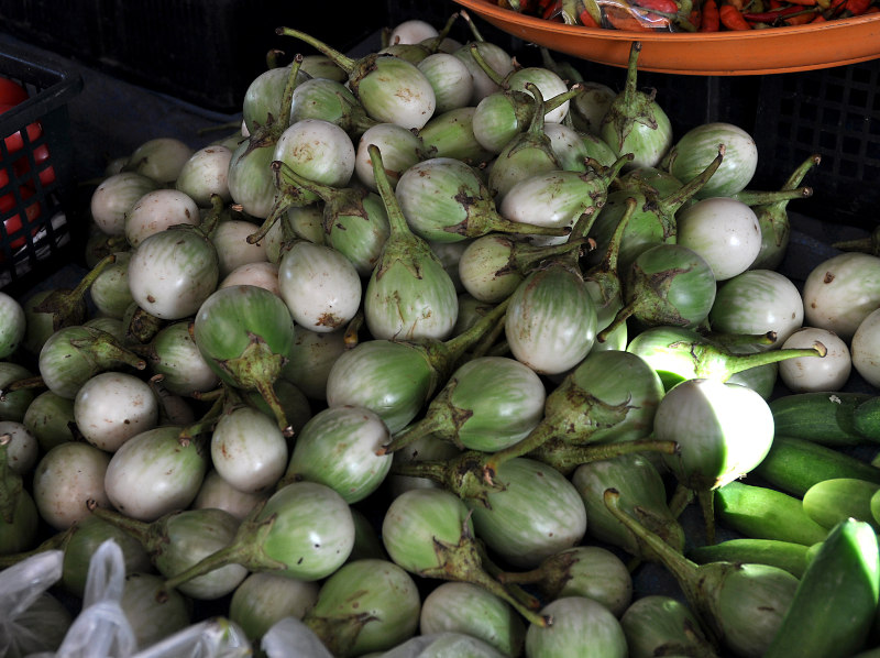 Изображение особи Solanum melongena.